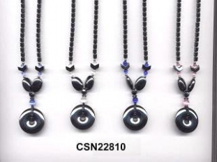 CSN22810