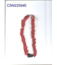 CSN22594E