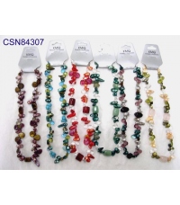 CSN84307